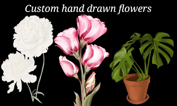 Gig Preview - Draw professional flower and plant  sketches