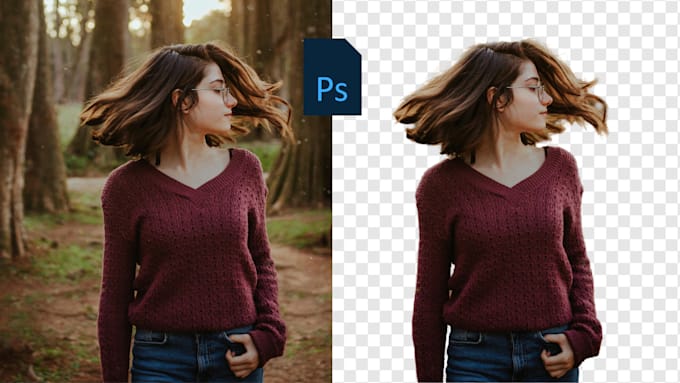 Gig Preview - Do fast and accurate background removal for complex images