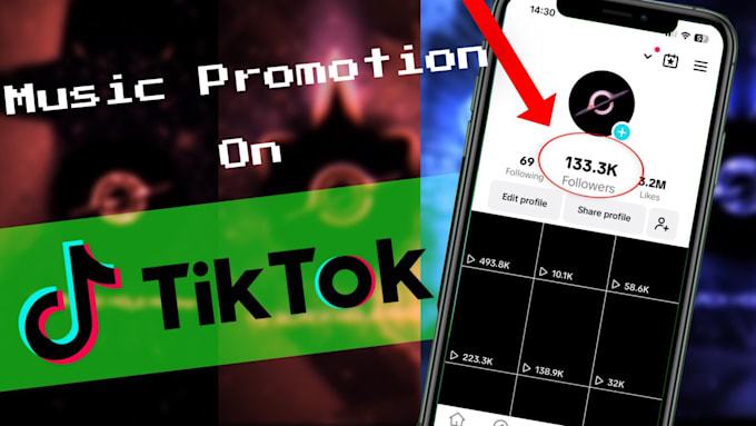 Bestseller - promote your music on tik tok