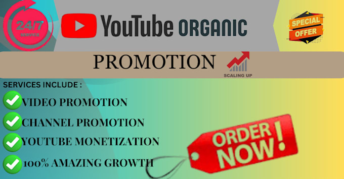 Gig Preview - Drive sustainable growth to your youtube channel through organic promotion