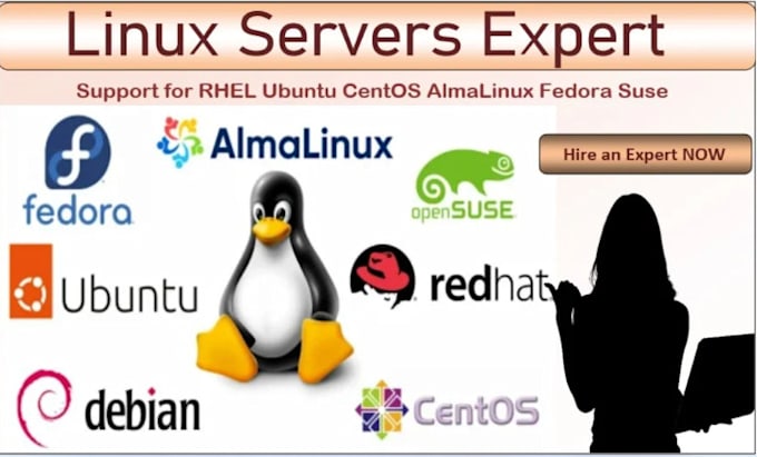 Bestseller - troubleshoot support fix your linux ubuntu debian nginx apache server centos vps