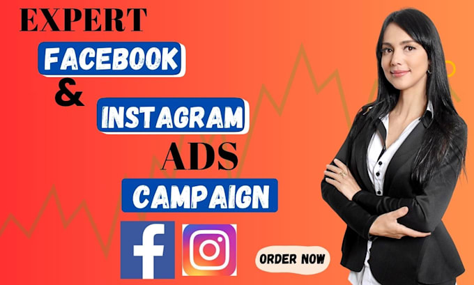 Gig Preview - Be your professional  campaign manager for facebook and instagram ads