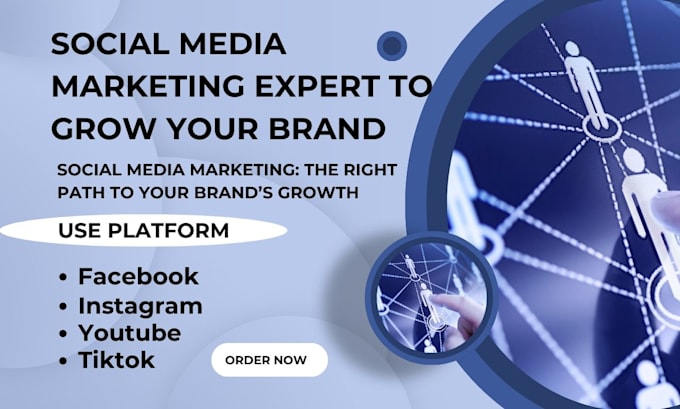 Gig Preview - Be your social media marketing manager to grow your brand