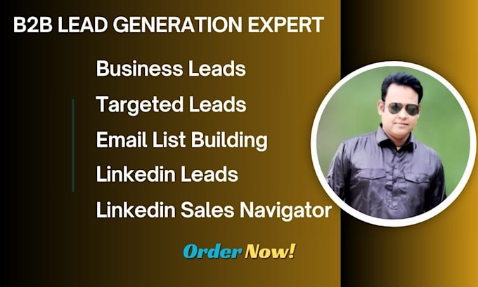 Gig Preview - Linkedin sales navigator b2b lead generation email list building lead gen