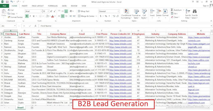 Gig Preview - Do b2b lead generation and data entry list for your business