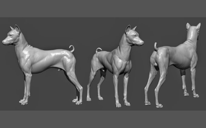 Gig Preview - Sculpt 3d animal model 3d dog model 3d creature 3d dinosaur 3d dragon modeling