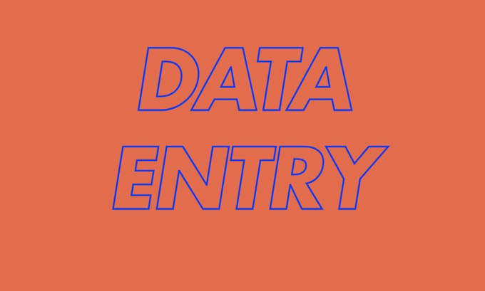 Gig Preview - Do lowonle for data entry