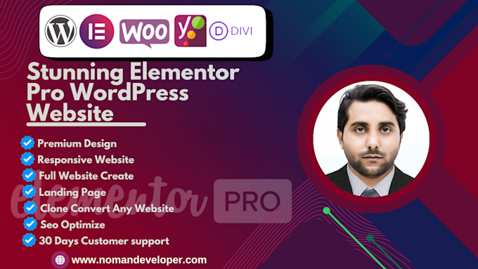 Gig Preview - Build a stunning elementor pro wordpress website