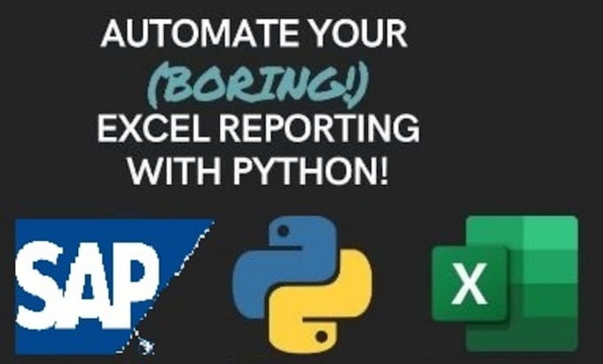 Gig Preview - Automate your manual excel or sap work using python