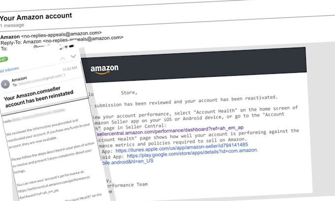 Gig Preview - Make a customize win amazon appeal letter plan of action account reinstatement