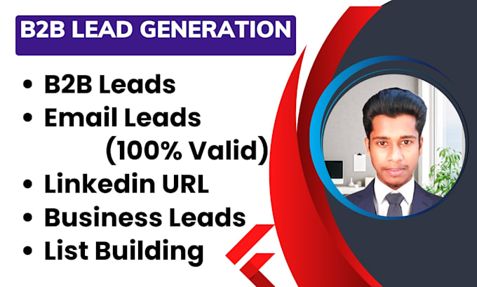 Gig Preview - B2b lead generation for any industry email list, linkedin leads and b2b sales