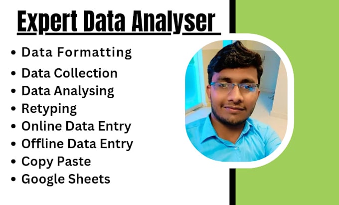 Gig Preview - Data collection, analysis and entry , accurate formatting and insights