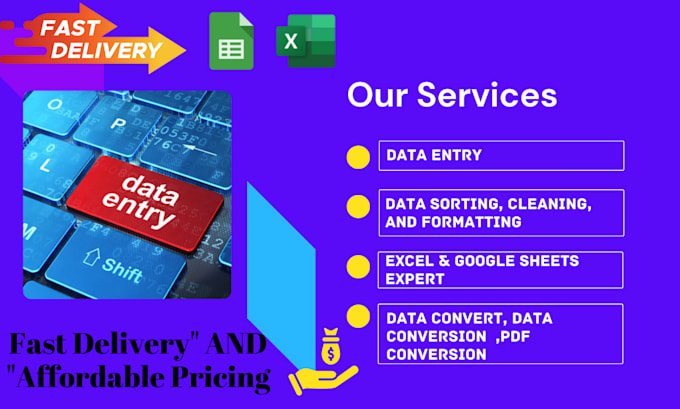 Bestseller - do accurate data entry in google sheets and excel