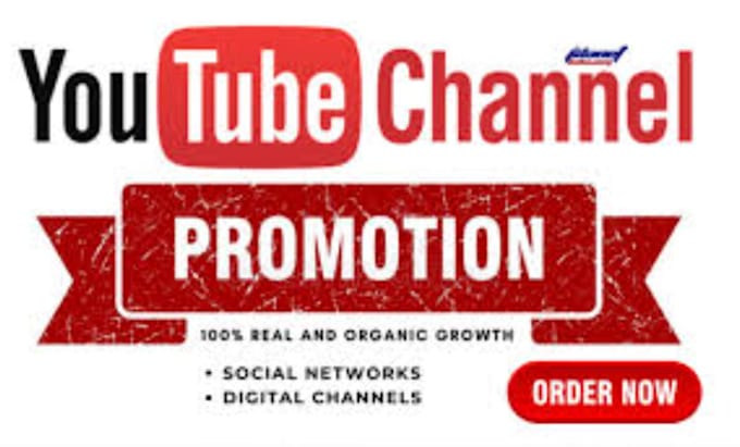 Gig Preview - Do organic youtube channel promotion for monetization