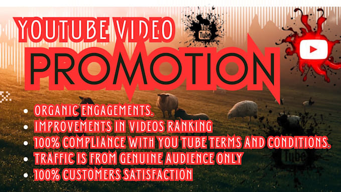 Gig Preview - Do complete youtube video promotion and video marketing with bonuses