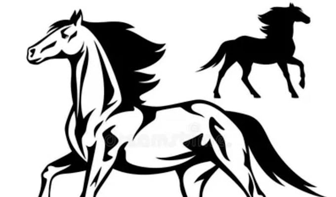 Bestseller - draw vector line art in black and white, cartoon illustration, animal photo