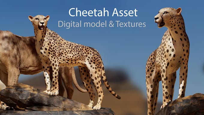 Gig Preview - Render cgi animal,3d animal design,3d animal rigging,animal character, xgen furr