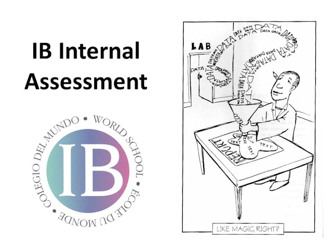 Bestseller - executively do your ib ias for both sl and hl