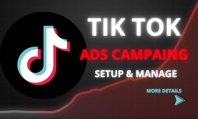 Gig Preview - Run tik tok ads, tik tok ads manager, and tiktok marketing