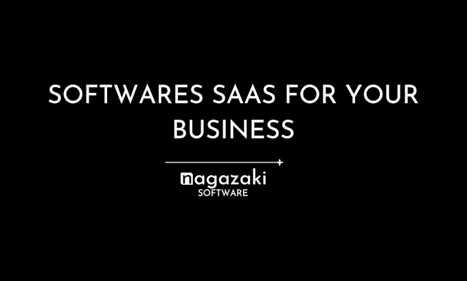 Gig Preview - Make softwares saas for your business