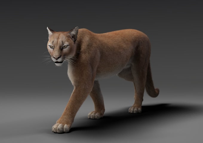 Gig Preview - Do 3d animal model 3d animal animation 3d creature character model 3d grooming