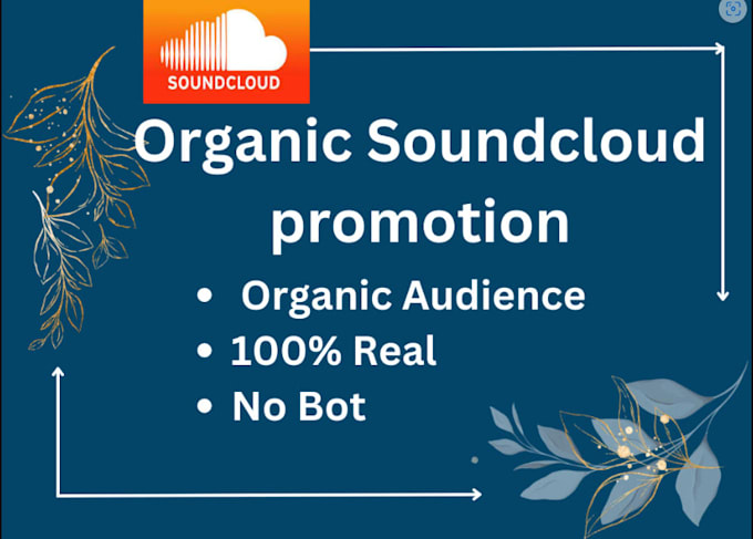 Gig Preview - Do organic soundcloud music promotion for your track