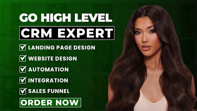 Gig Preview - Gohighlevel landing page gohighlevel website go highlevel