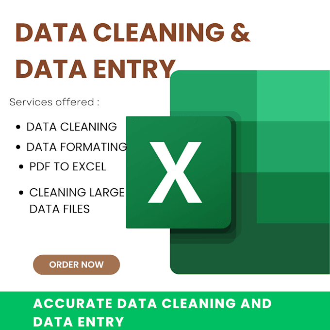 Gig Preview - Do accurate data cleaning and data entry for you