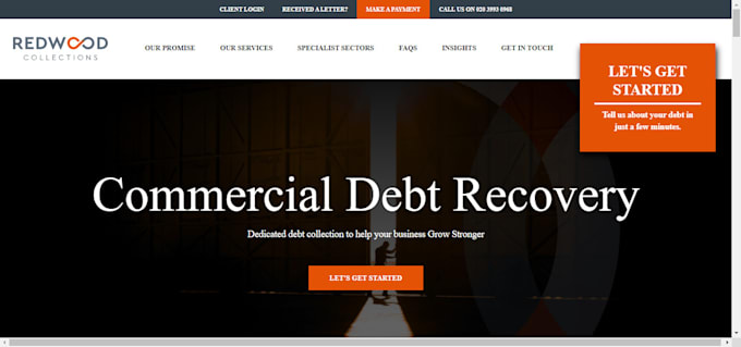 Gig Preview - Design debt relief website debt settlement debt landing page website