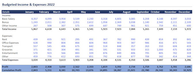 Gig Preview - Make profitloss dashboard with variance analysis with budgetedactual income