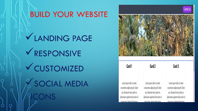 Gig Preview - Build customized landing page for business