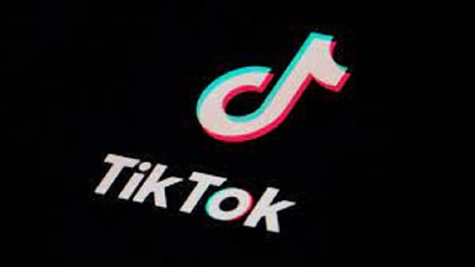 Gig Preview - Create tiktok dance christmas dance video group dance santa dance to your song