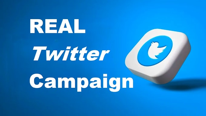 Gig Preview - Run an twitter ad campaign to increase followers