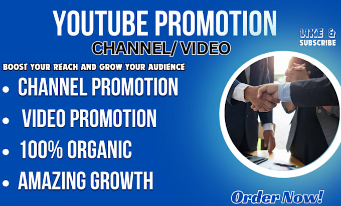 Gig Preview - Do organic youtube channel video promotion