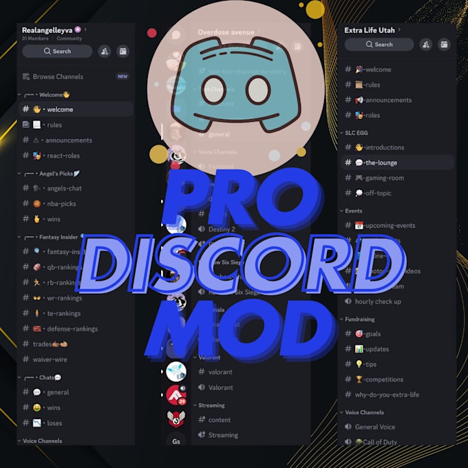 Gig Preview - Expert discord server moderation support