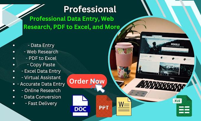 Gig Preview - Efficient data entry, web research, copy pasting, excel data management and PDF