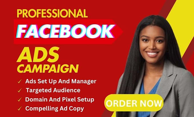 Gig Preview - Setup facebook ads campaign for leads and sales