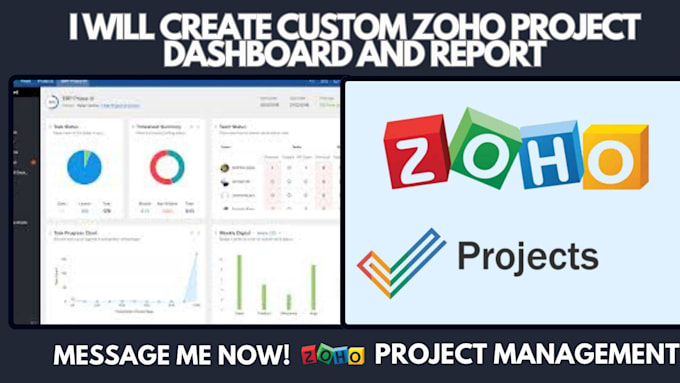 Gig Preview - Create custom zoho projects dashboards and reports