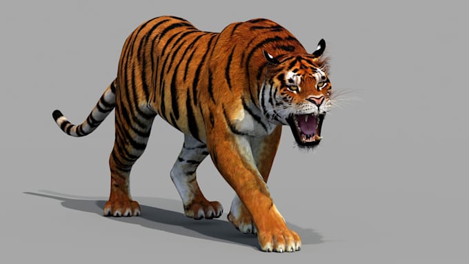 Gig Preview - Create 3d animal animation cgi animal animation 3d animal model