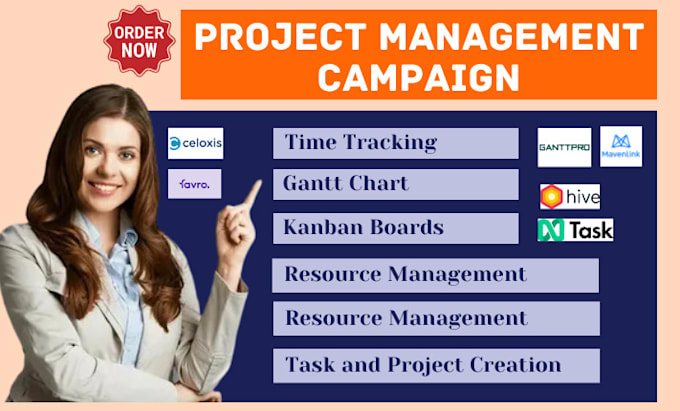 Bestseller - setup project management mavenlink ganttpro ntask hive celoxis favro