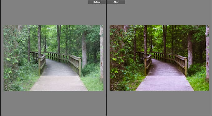 Gig Preview - Color correct your image