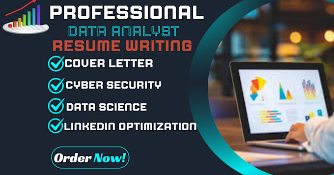 Gig Preview - Write profitable data analyst resume cyber security and resume creation