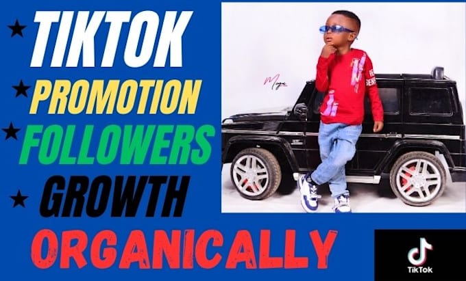 Gig Preview - Promote tiktok followers, tiktok growth organically