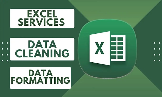 Gig Preview - Do data cleaning, fomatting in excel