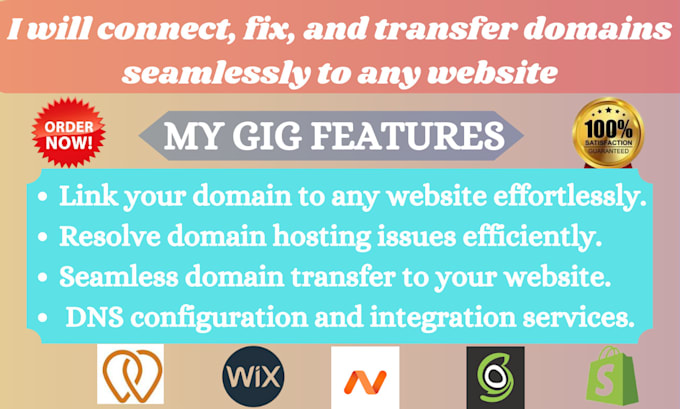 Gig Preview - Connect, fix, and transfer domains seamlessly to any website