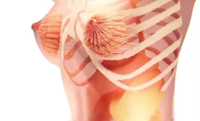 Bestseller - create professional good quality 3d 2d medical animation video