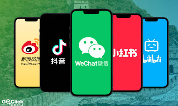 Gig Preview - Create wechat, douyin, 1688, taobao, qq, weibo, and other social media account