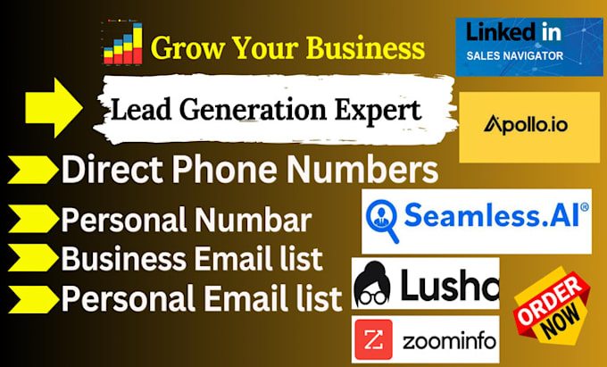 Gig Preview - Do b2b lead generation using zoominfo, lusha, sales navigator