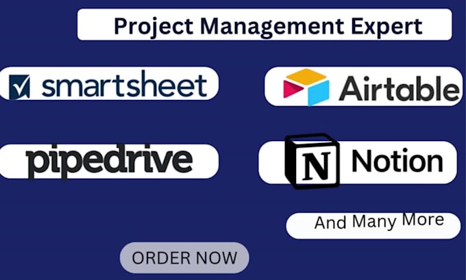 Gig Preview - Setup project management on smartsheet pipedrive airtable notion asana for you