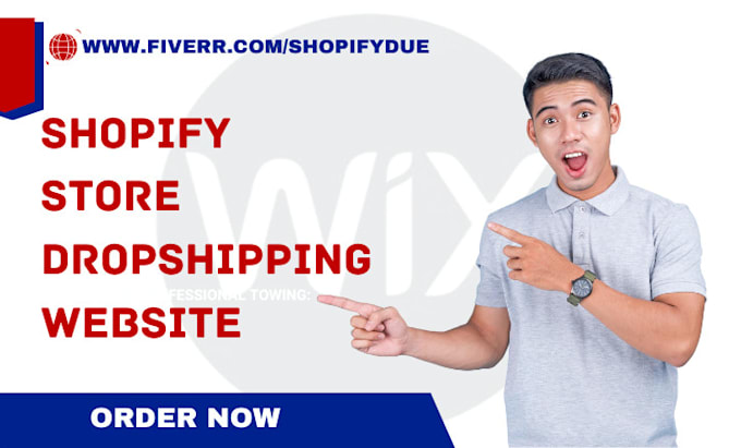 Gig Preview - Design or redesign shopify dropshipping store shopify store website pagefly